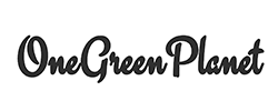 one green planet